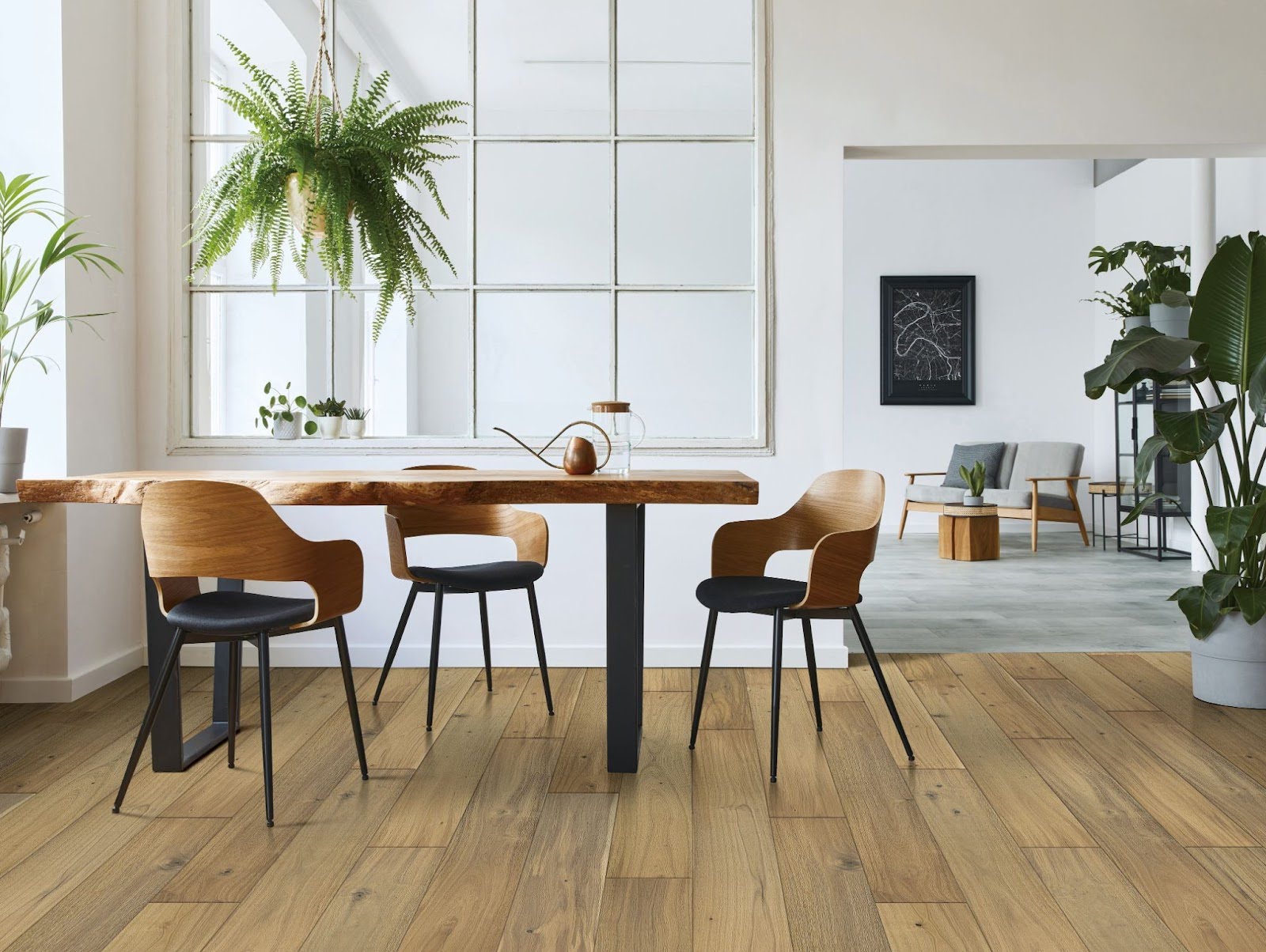 southern breeze acella acaccia hardwood color trend 2024